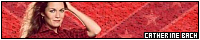 200x40 code