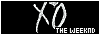 100x35 code
