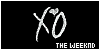100x50 code