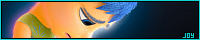 200x40 code