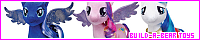 200x40 code