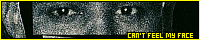 200x40 code