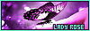 100x35 code