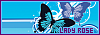 100x35 code