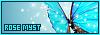 100x35 code
