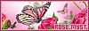 100x35 code