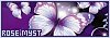 100x35 code