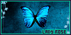 100x50 code