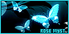 100x50 code