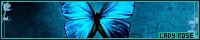 200x40 code