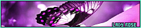 200x40 code