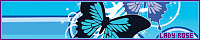 200x40 code