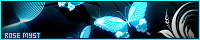 200x40 code