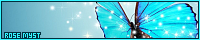 200x40 code