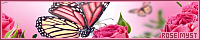200x40 code