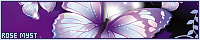 200x40 code