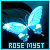 50x50 code