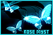 75x50 code