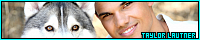 200x40 code