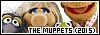 100x35 code