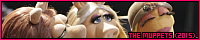 200x40 code