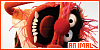 100x50 code