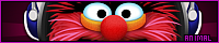 200x40 code