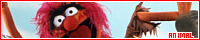 200x40 code