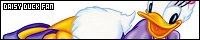 200x40 code