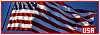 100x35 code