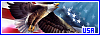 100x35 code