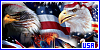 100x50 code