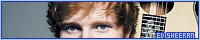 200x40 code