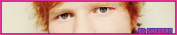 200x40 code
