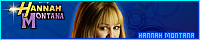 200x40 code