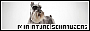 100x35 code