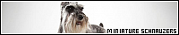200x40 code