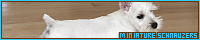 200x40 code