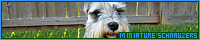 200x40 code