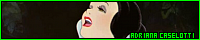200x40 code