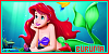 100x50 code