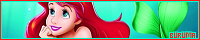 200x40 code