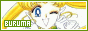 88x31 code