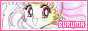 88x31 code
