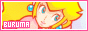 88x31 code