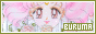 88x31 code