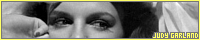 200x40 code