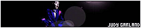 200x40 code