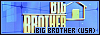 100x35 code