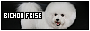 100x35 code